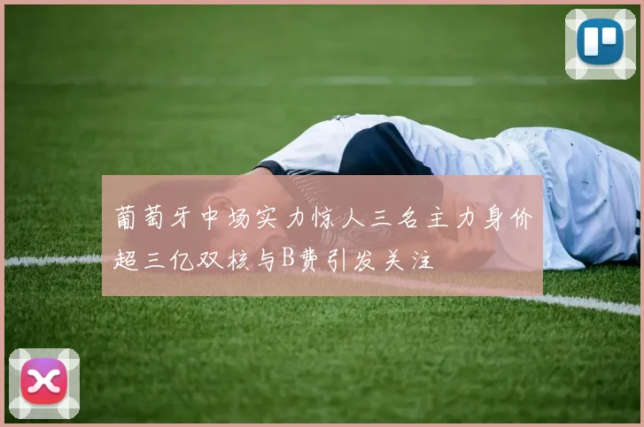 葡萄牙中场实力惊人三名主力身价超三亿双核与B费引发关注